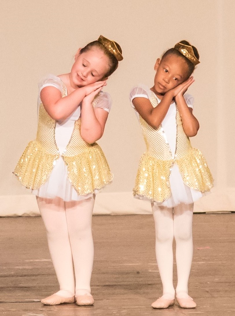 Intro to Ballet (age 6 to 8)